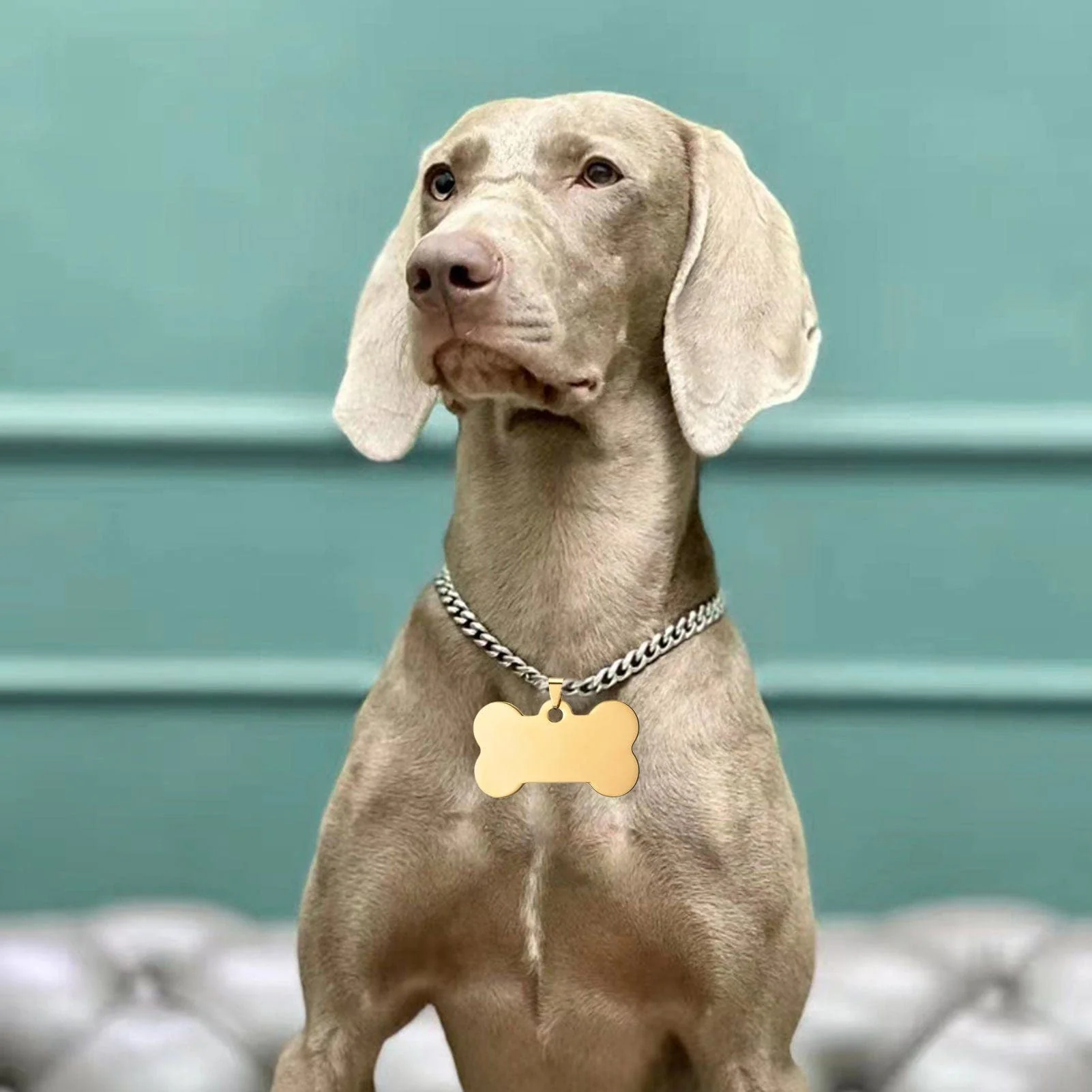 20 etiquetas metálicas en blanco para mascotas - Image 8